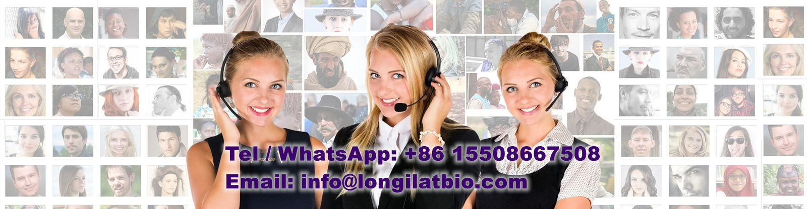 Qualität GS-441524 Fabrik