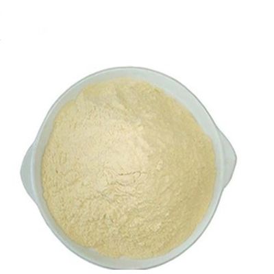 HPLC Tested Erdafitinib Yellow Powder CAS 1346242-81-6 FGFR Kinase Inhibitor Stable Solid Research Material