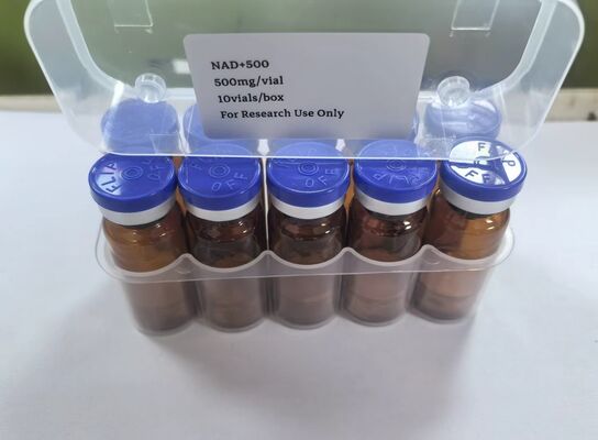 Hohe Reinheit NAD+ Lyophilisierte Durchstechflaschen 500 mg NAD injizierbares Pulver zur Unterstützung der Energiegewinnung und des Anti-Aging-Systems