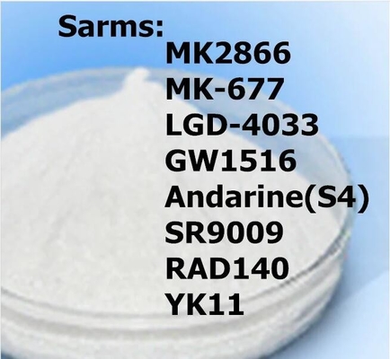 Muskel-Gewinne Balancen-Stickstoff Ostarine Mk-2866 Sarms Pulver-GW-0742