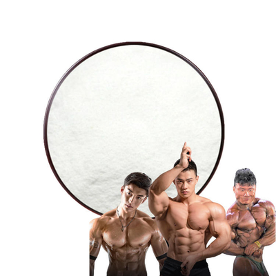 Probe 99,5% Pulver Ligandrol LGD-4033 1165910-22-4 Sarms für Bodybuilding