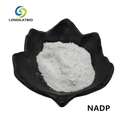 NADPH+-Pulver-Beta-Nikotinamid-Adenin-Dinucleotid-Phosphat